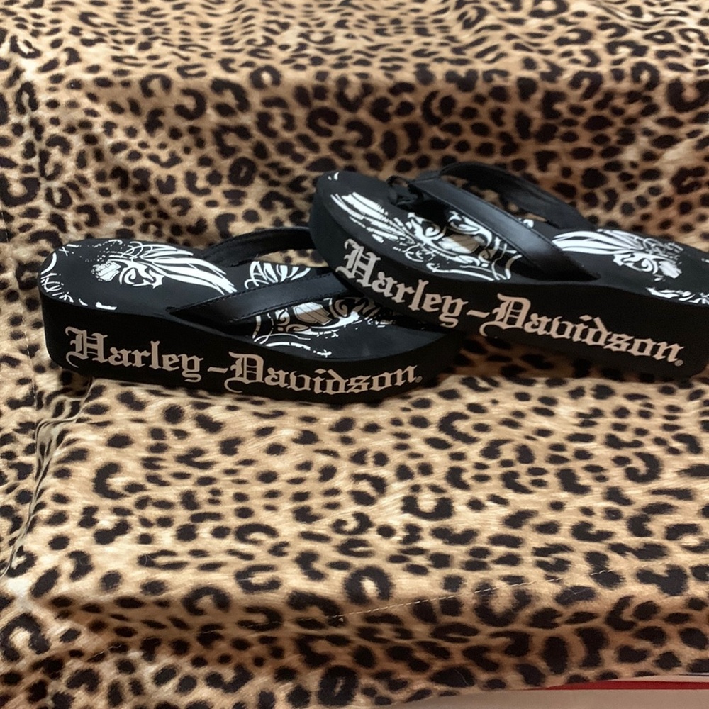 COPY - Harley Davidson Wedge Flips